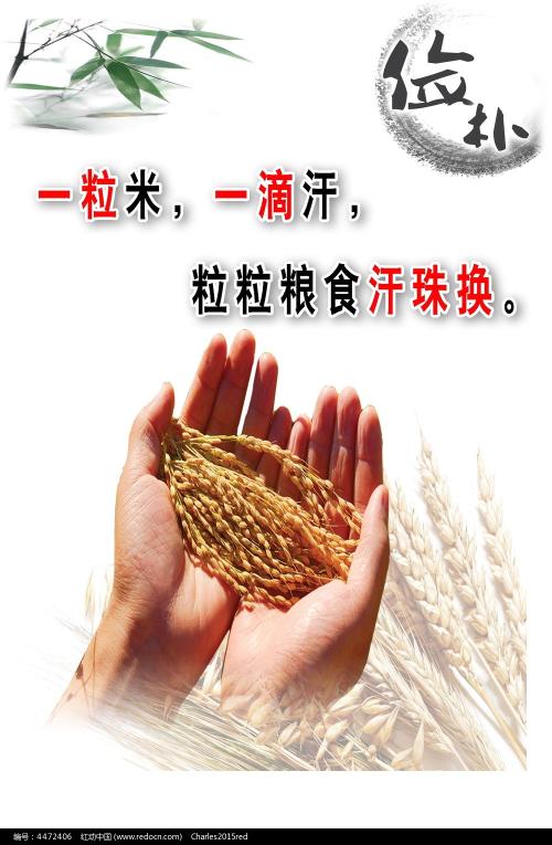 高中毕业证发放权